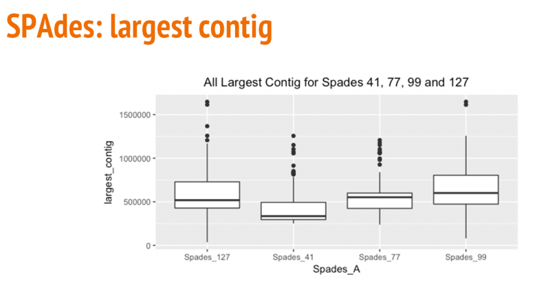 File:SPAdes largest contig.PNG