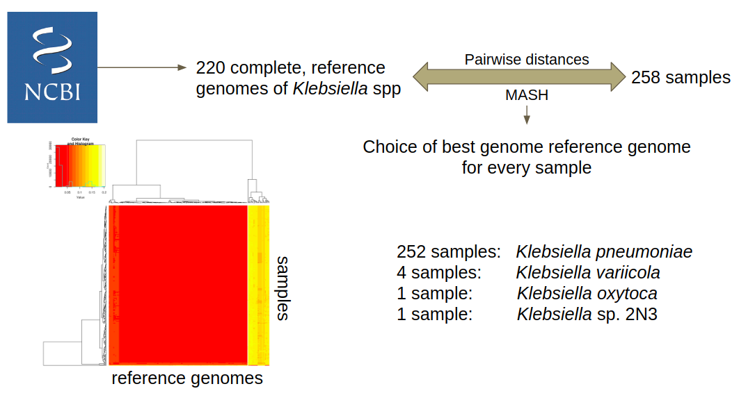 clc genomics workbench reference human genome