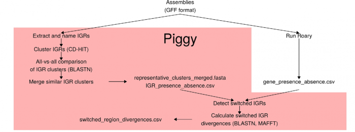 Fig #: Piggy pipeline
